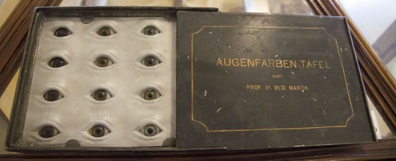 Instrument of classical anthropology for human classification according to the iris colour