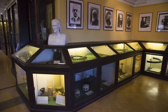 Instruments of classical anthropometry