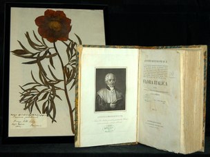 Antonio Bertoloni Herbarium