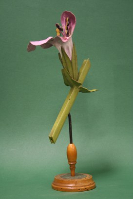 Stachys palustris Linn. Scabbiosa. Labiate. (Marsh woundwort)