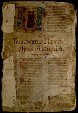 Front page of the Ulisse Aldrovandi Herbarium, VI volume