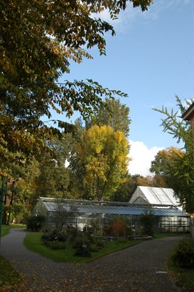 The woodland and the greenhouses