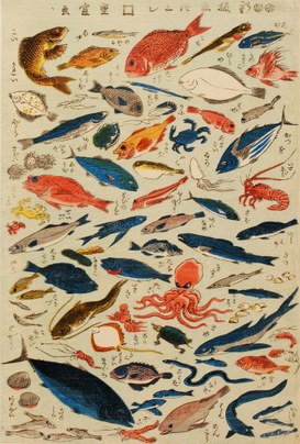 Utagawa Shigenobu: Shinban sakana-zukushi (new edition of  innumerable species of fish), 1847-1848