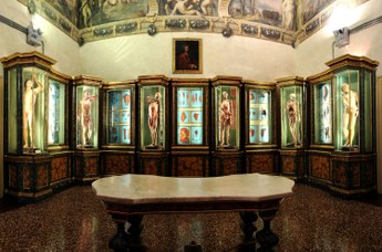 Room of Ercole Lelli's Anatomical Waxes