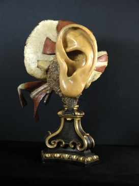 "Wax model representing a ear", Anna Morandi, 1755-74