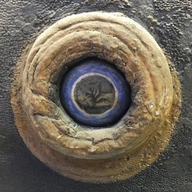 Detail of the sunfish left eye, with the sea bed mirrored on its pupil