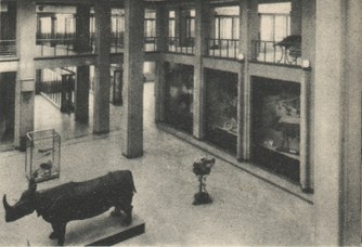 Historical picture of the entrance hall of the Museum of Zoology in the 30s