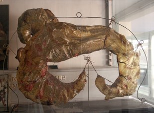 Placenta cotiledonaria di ruminante 