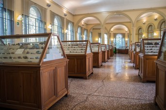 3. Sale espositive della Collezione di Mineralogia "Museo Luigi Bombicci". © Università di Bologna - Sistema Museale di Ateneo | ph. Francesca Bargossi