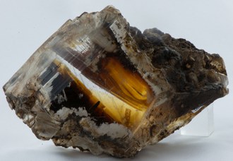 6. Cristallo di Gesso bituminoso della miniera di Perticara, esemplare di 112 mm. © Università di Bologna – Sistema Museale di Ateneo | ph. Francesca Bargossi