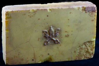 8. Pane di Zolfo con stemma pontificio (13,2x8x3,4 cm), lavorato nelle “Miniere Zolfuree di Romagna” a Perticara. © Università di Bologna – Sistema Museale di Ateneo | ph. Francesca Bargossi
