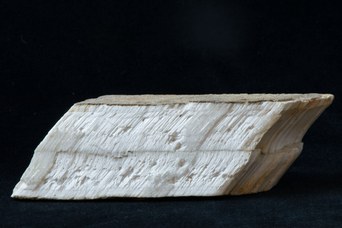 3. Gesso, varietà sericolite (12x4x2 cm), proveniente da Zola Predosa, Bologna. © Università di Bologna - Sistema Museale di Ateneo | ph. Francesca Bargossi