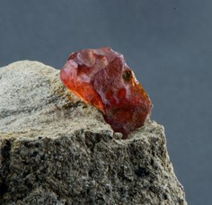 3. Ambra (20x12x11 mm) proveniente da San Clemente sul Sillaro, Bologna. © Università di Bologna - Sistema Museale di Ateneo | ph. Francesca Bargossi