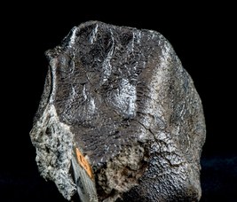 3. Meteorite Stannern, caduta nel 1808, grammi 525. © Università di Bologna - Sistema Museale di Ateneo | ph. Francesca Bargossi