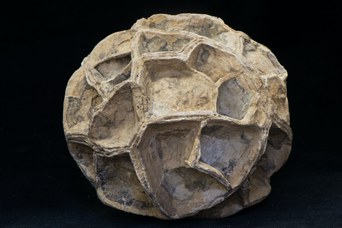 1. Septaria integra a nido d'ape (diametro 14 cm). © Università di Bologna - Sistema Museale di Ateneo | ph. Francesca Bargossi