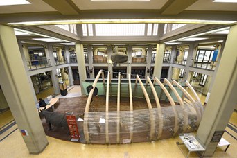 Esemplare di Pesce Luna (Mola mola)