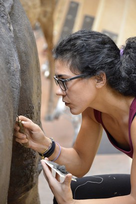 Particolare del Rinoceronte Indiano durante il restauro
