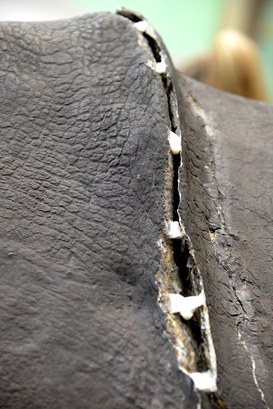 Particolare del Rinoceronte Indiano durante il restauro - Chiusura delle fessurazioni