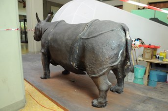 Particolare del Rinoceronte Indiano prima del restauro