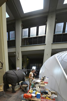 Rinoceronte Indiano durante il restauro