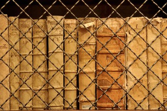 Biblioteca (particolare)