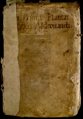 Copertina del I volume dell'Erbario di Ulisse Aldrovandi