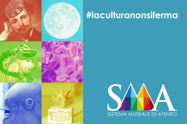 banner #laculturanonsiferma #SMAllvideo