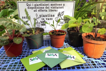 Bentornata Primavera! - Evento