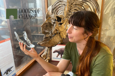 Doors of Change - Visita guidata