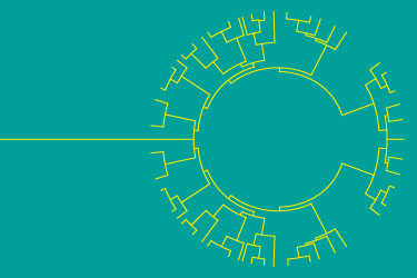 COSA NON CAPIAMO DELL’ EVOLUZIONE? - DARWIN DAY 2026