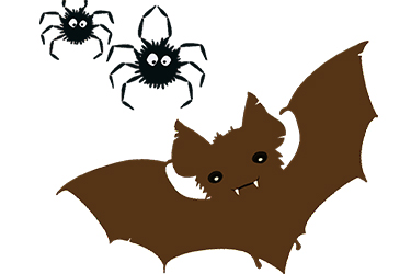 Disegno con pipistrello e ragni