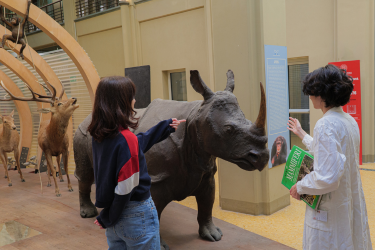VISITE GUIDATE PER ADULTI E BAMBINI - FEBBRAIO 2026
