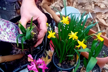 LABORATORI PER ADULTI