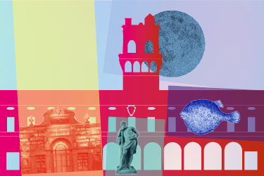 I Musei Universitari di Palazzo Poggi rinnovati - EVENTO