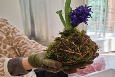 LABORATORI PER ADULTI