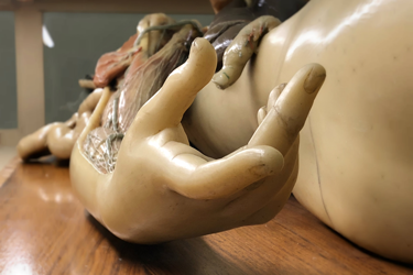 Modelli Stupefacenti - visite guidate