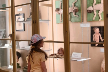 VISITE GUIDATE PER ADULTI E FAMIGLIE - OTTOBRE 2025