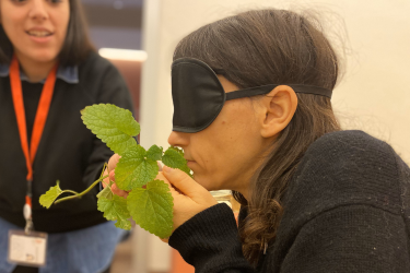 LABORATORIO SENSORIALE PER ADULTI