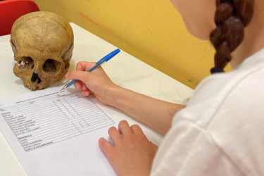 LABORATORI PER ADULTI