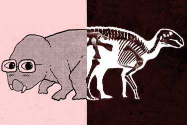 SMA PER "BOOM! CRESCERE NEI LIBRI"