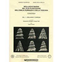 Molluschi marini Molluschi marini