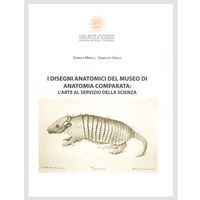 i disegni anatomici i disegni anatomici