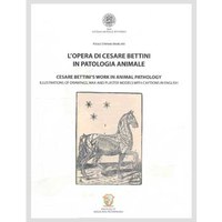 L'opera di Cesare Bettini L'opera di Cesare Bettini