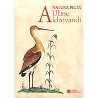 Natura picta Natura picta