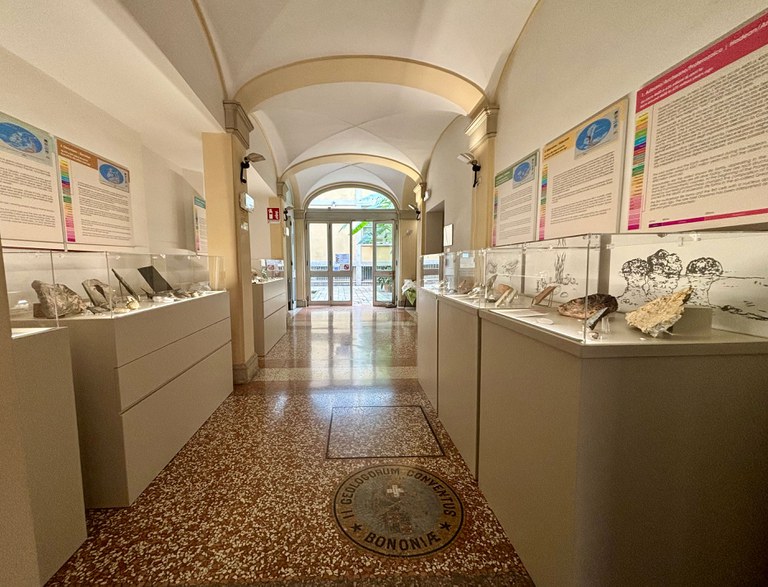 Prima sala del percorso espositivo "Il sentiero paleontologico" Prima sala del percorso espositivo "Il sentiero paleontologico"