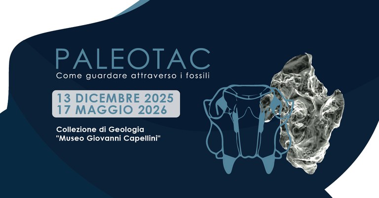 Grafica di mostra PALEOTAC con cranio di lisostrato da Collezione di Geologia "Museo Giovanni Capellini" Grafica di mostra PALEOTAC con cranio di lisostrato da Collezione di Geologia "Museo Giovanni Capellini"