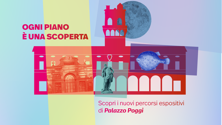 Grafica apertura Musei Poggi aggiornata