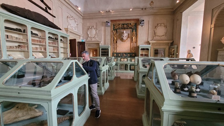 Sala Aldrovandi del Museo di Palazzo Poggi