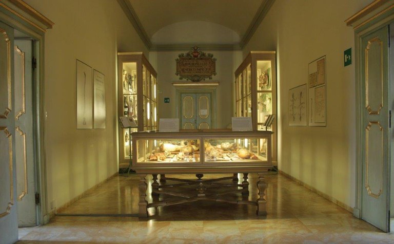 Panoramica Museo Cattaneo