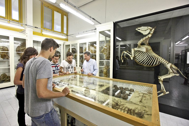 VISITA GUIDATA ALLA COLLEZIONE DI ANATOMIA DEGLI ANIMALI DOMESTICI
